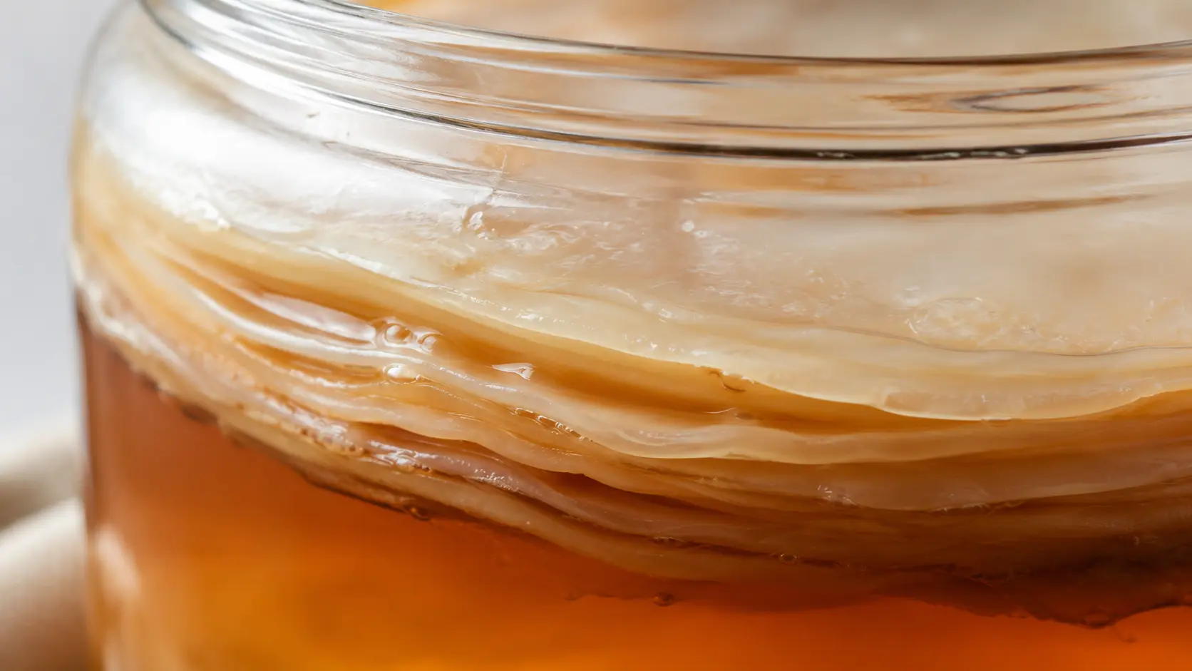 What does ‘live cultures’ actually mean on a kombucha label?
